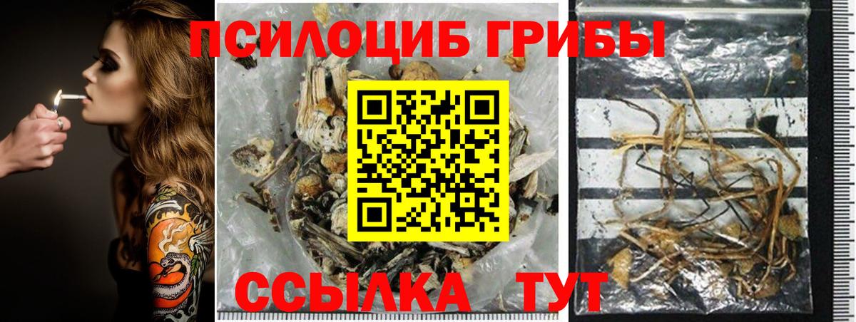 Галлюциногенные грибы ЛСД  Псилоцибиновые грибы мицелий  Вход с VPN  Симферополь 